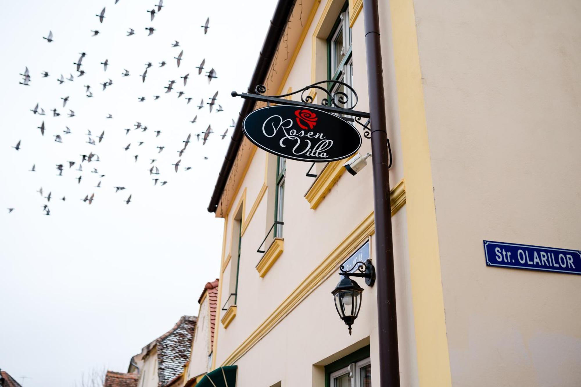 Rosen Villa Sibiu Exterior photo